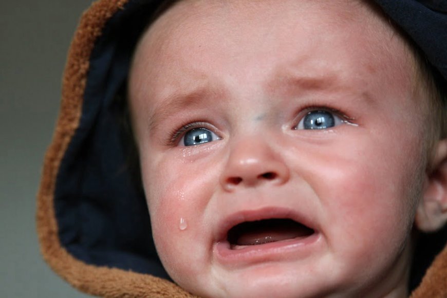 Stressed adults rely on pacifiers to soothe themselves: ‘I feel a sense of safety from childhood’