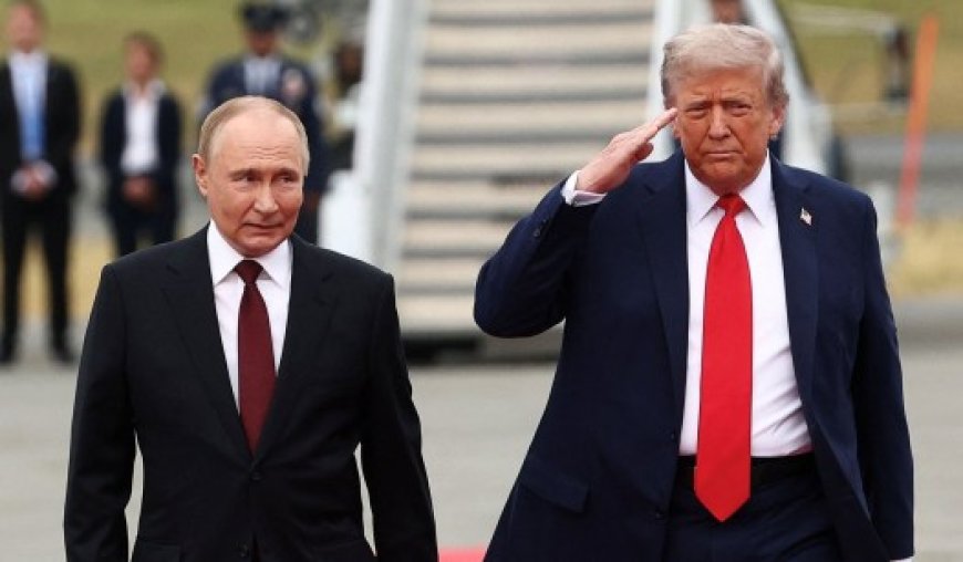 The Way Forward for Ukraine After Alaska