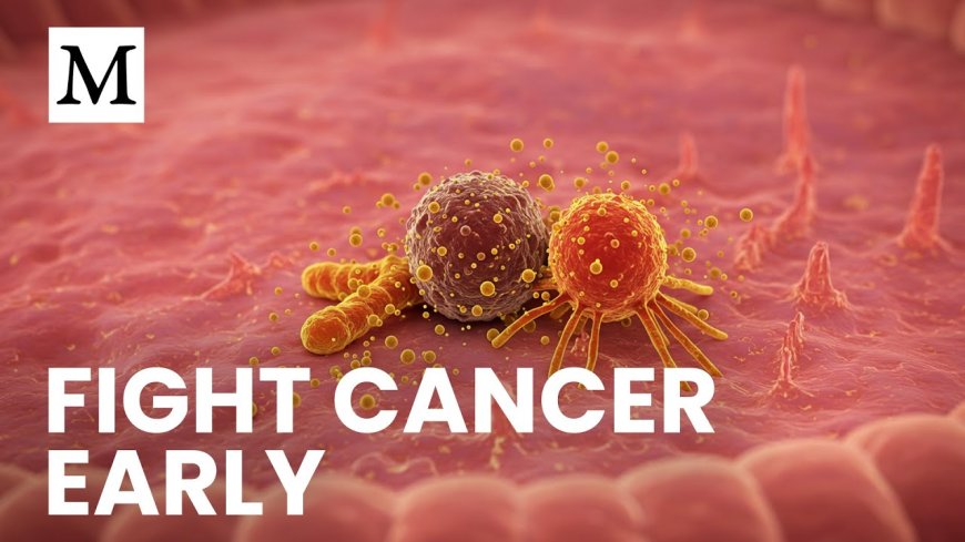 Curcumin Targets Colon Cancer at Its Source Without Harming Healthy Cells