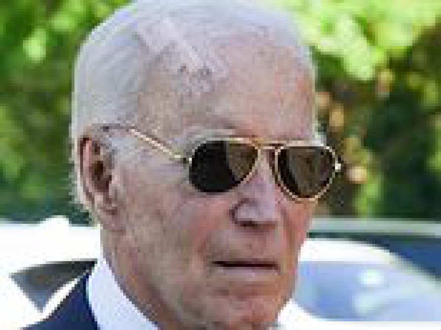 Ex-president Joe Biden attends meet-and-greet with head scar after undergoing Mohs surgery for skin cancer