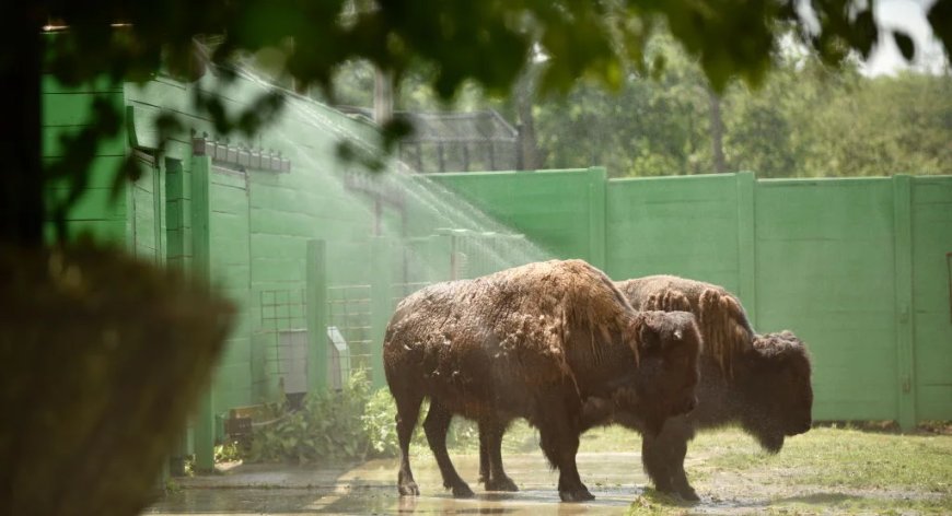 Early Addition: You still can't bring a gun to a zoo in New Jersey