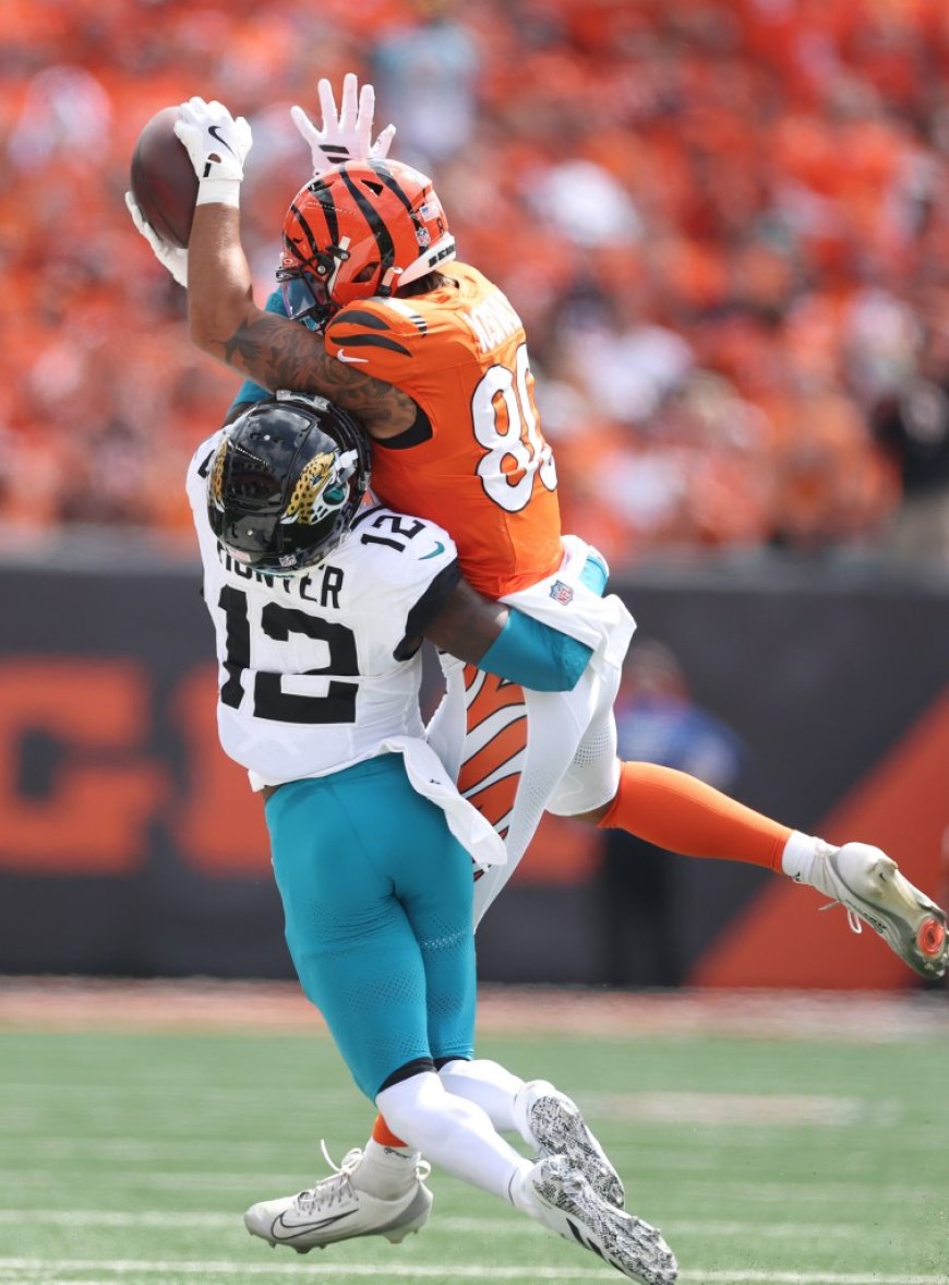 Dave Portnoy explodes over ‘disgusting’ call that decided Jaguars-Bengals game