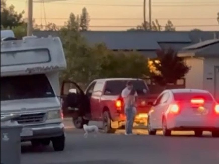 Monthslong tension between Bay Area neighbors precedes racial confrontation seen on viral video
