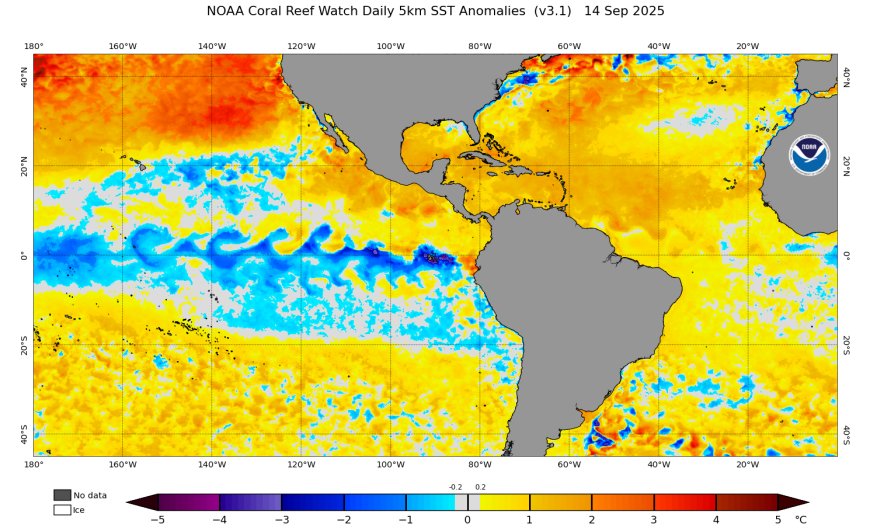 Feds say La Niña is coming. What does this mean for hurricanes and our weather?