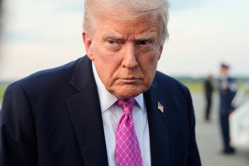 Trump makes a completely bonkers claim — and everyone laughs