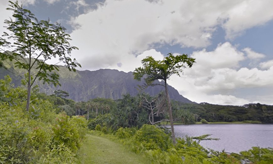 Hawaii tourist spot that has boomed in popularity is planning to limit visitors