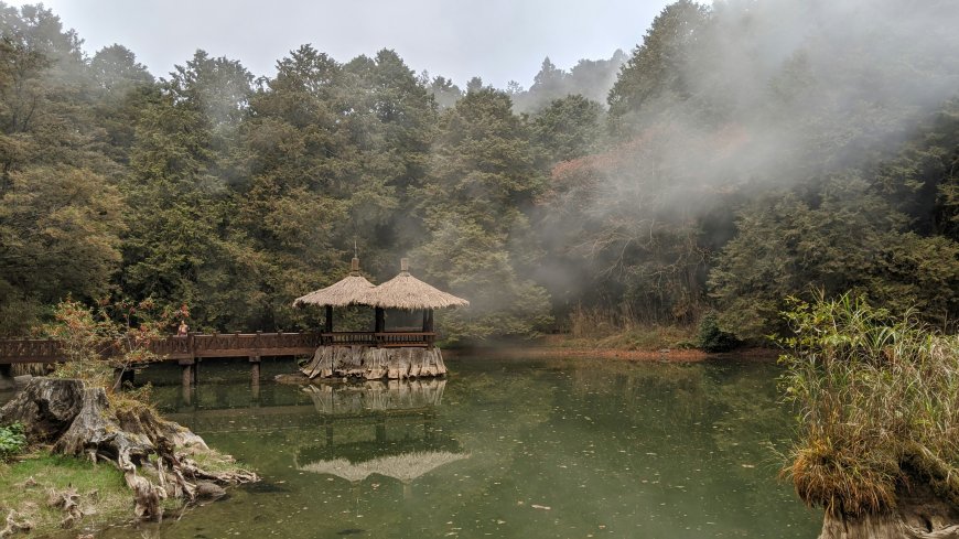 Alishan Is Taiwan’s Most Serene Escape—And the Scenic Train Ride Is Just the Start
