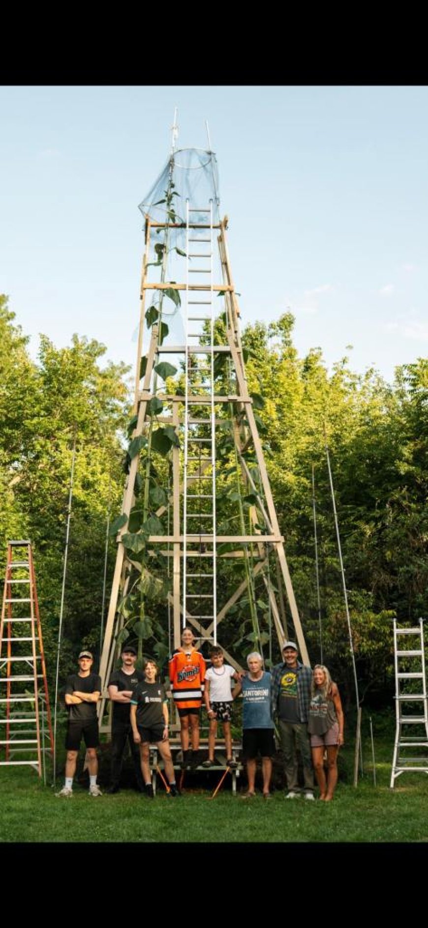 Ukrainian immigrant grows world’s tallest sunflower stretching over 35 feet high in Indiana backyard as tribute to war-torn country