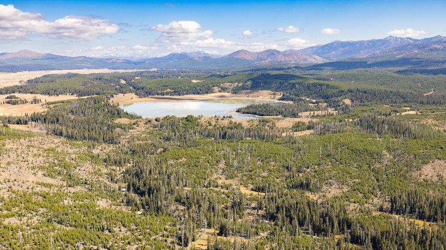 29-year-old man attacked by bear in Yellowstone National Park