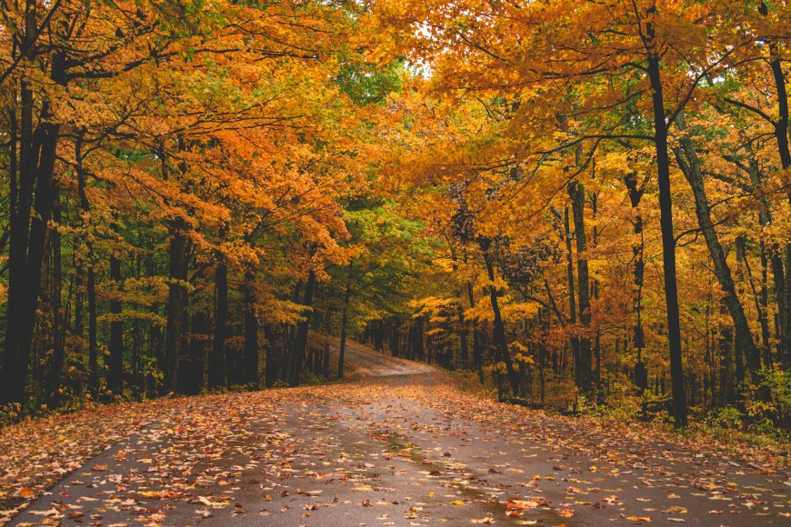 Autumn Adventures: America’s Most Magnificent Fall Road Trips