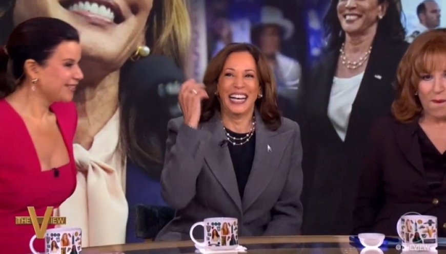 Mea Culpa for Sinking Campaign? The View to Host Kamala’s Book Tour
