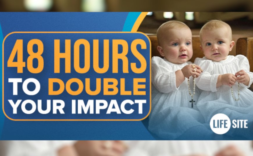 Help our mission: Every dollar you donate will be doubled!