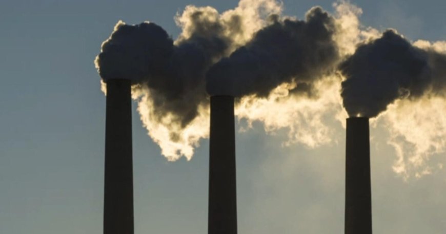 Young climate activists sue Trump administration over orders promoting fossil fuels