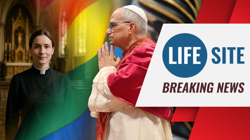 BREAKING | Pope Leo on LGBTQ: ‘We have to change attitudes before we ever change doctrine’