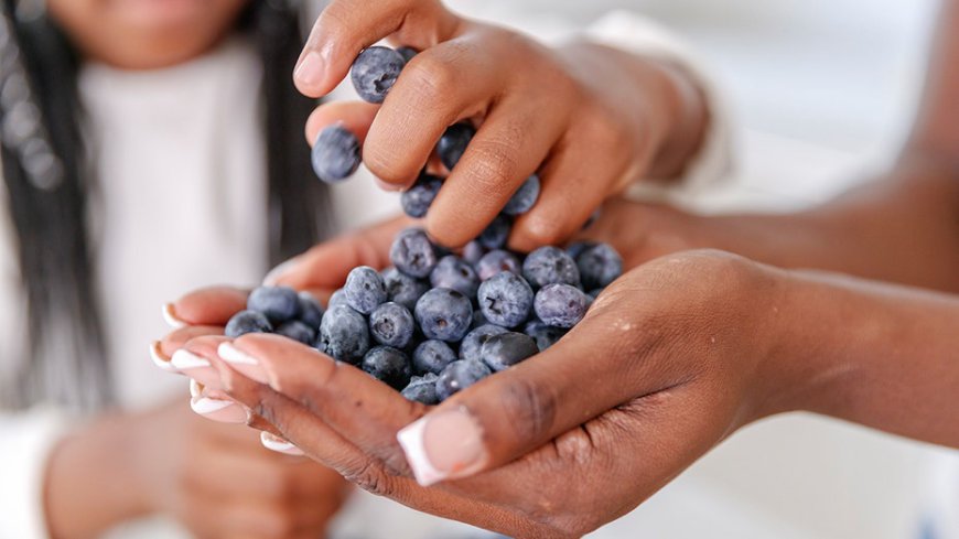 Eating blueberries earlier in life could ease allergies, strengthen immunity, new study finds