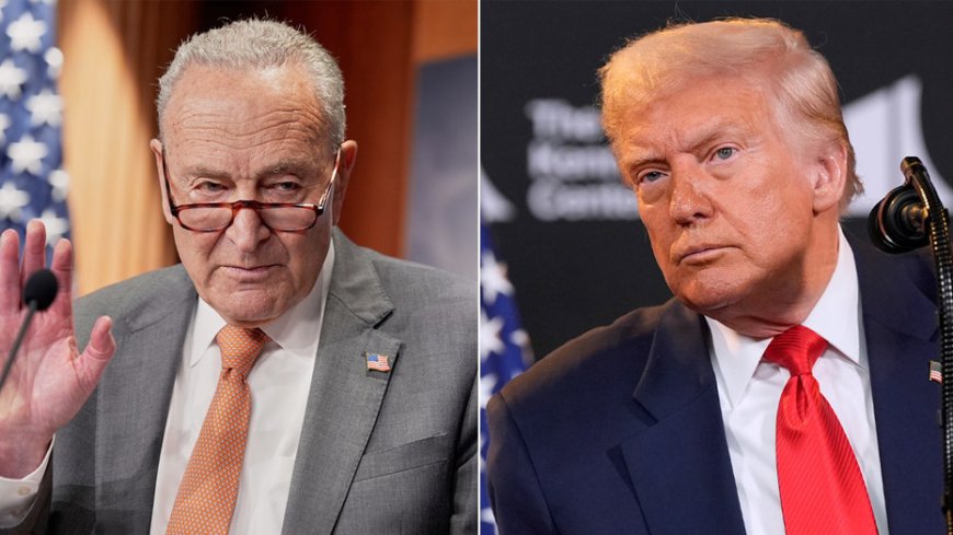 Blame Game: GOP spotlights 'Schumer shutdown' while Dems lash out at Republicans ahead of 2026 midterms