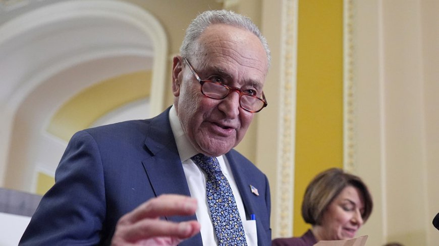 Chuck Schumer slams GOP's claim that Democrats want to give healthcare to illegals as an 'effing lie'
