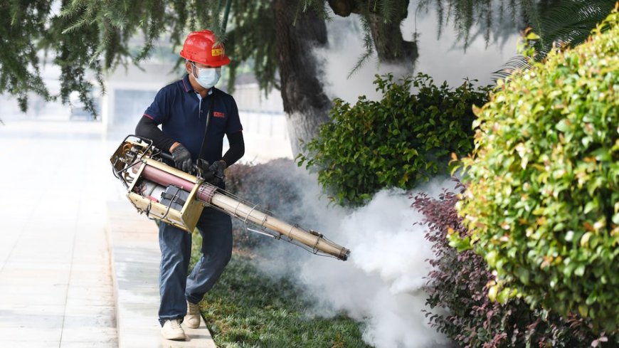 Deadly mosquito-borne virus sparks CDC travel alert — could it reach the US?