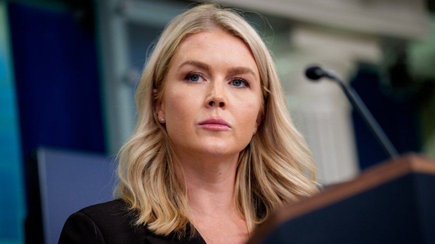 Karoline Leavitt warns Democrats face 'very real' consequences if shutdown standoff drags on