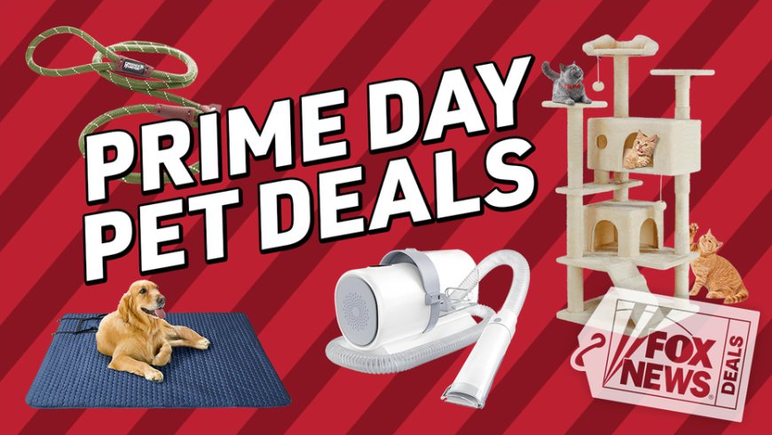 October Prime Day means big pet savings: Up to 50% off cat and dog gear