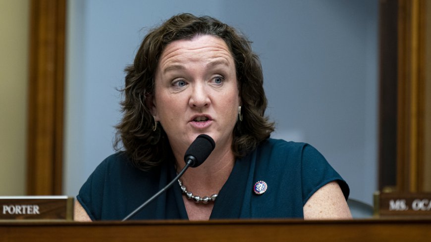MSNBC panel uses Katie Porter backlash to blast 'double standard' for women in politics