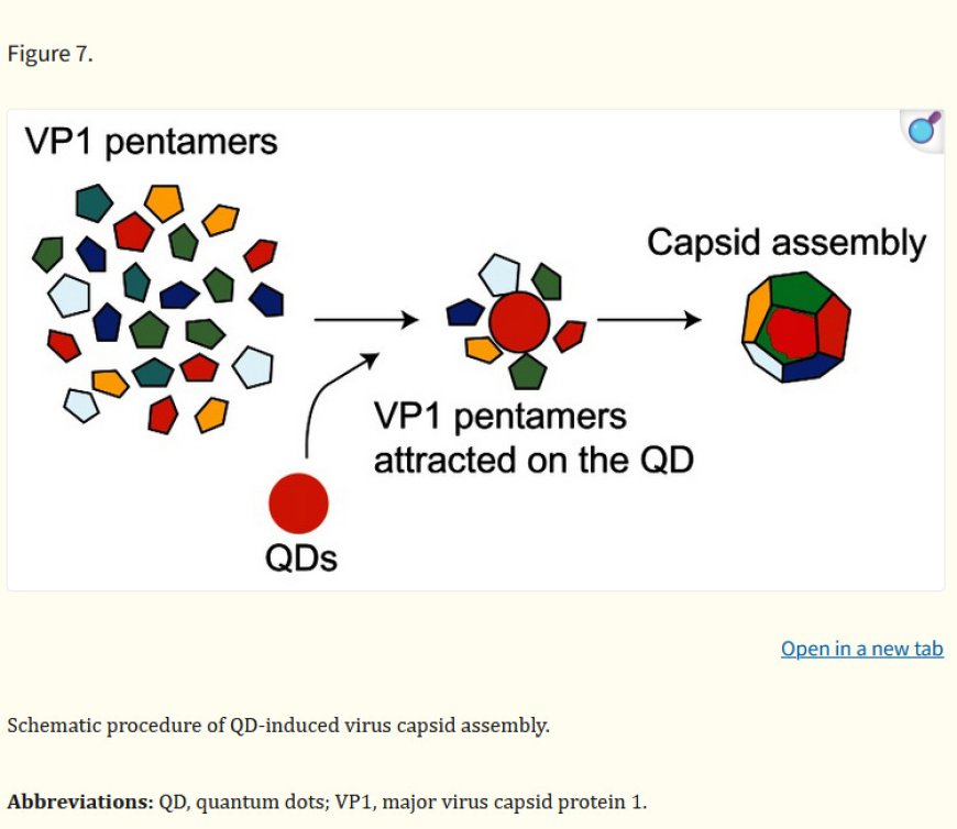 SV40 Cancer Causing DNA Found In COVID19 Vaccines: Uses Of SV40 In Nanobiotechnology: Self Assembly Nanoarchitectures, Nanophotonics & Quantum Dots For Bio-Digital Convergence