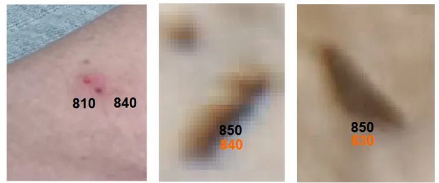 Study of biochips found in COVID-19 vaccines. Part 3 - The Connection to Graphene by Dr. Diana Wojtkowiak