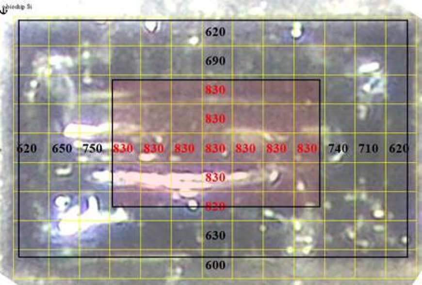 Study of biochips found in COVID-19 vaccines parts 1-3. Part 1 - Based on photos by David Nixon. Dr. Diana Wojtkowiak