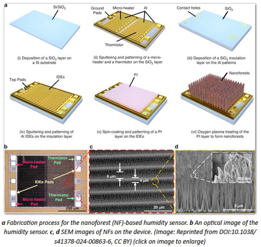 Big Brother Is Watching You: Nanostructured humidity sensor achieves 96% accuracy in identifying human behaviors through breath analysis AND AI 3D Printer Now Prints Your Food