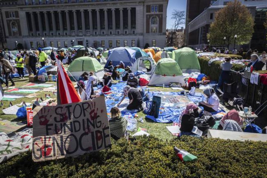 Despite Ceasefire, Student Activists Vow to Keep Fighting