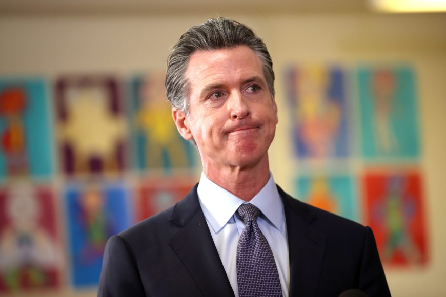 How the Democrats Won in 2028