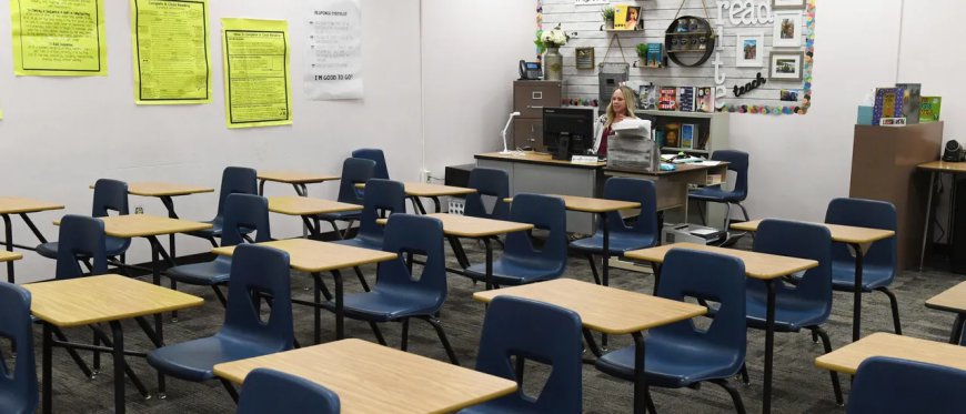 SHERI FEW: Are Government Schools Redeemable?