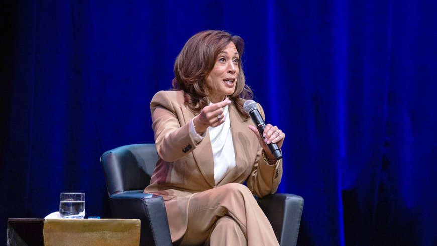 Kamala Harris claims Trump voters tell her they feel 'lied to' about deportations