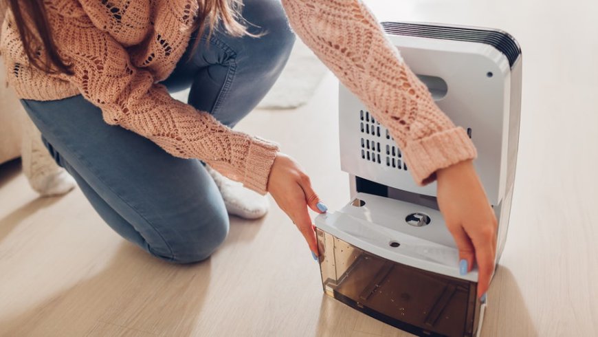 These best dehumidifier deals help fight moisture, mold and mildew