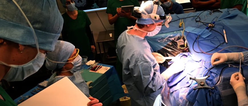 REPORT: Austrian Doctor Charged For Allegedly Letting 12-Year-Old Daughter Help With Brain Surgery