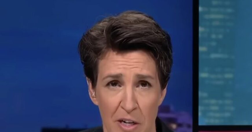 Maddow: America Has an 'Authoritarian Government' Trying to Destroy Democracy