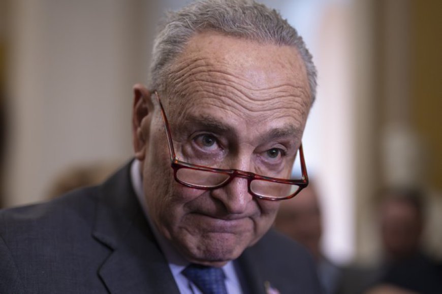 Hoo Boy: Schumer's Remarks About Rising Up Against Trump Administration Sound Pretty Insurrection-Like