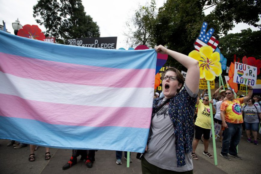 Is Being Trans No Longer Cool? Number of College Students Who Identify As Trans, Non-Binary Plummets.
