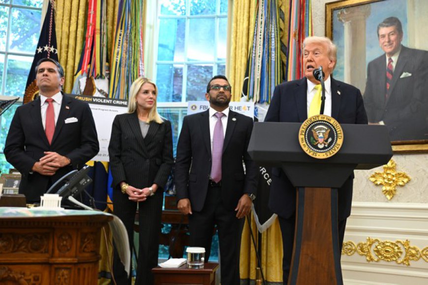 President Trump Touts Massive Success of Operation Summer Heat