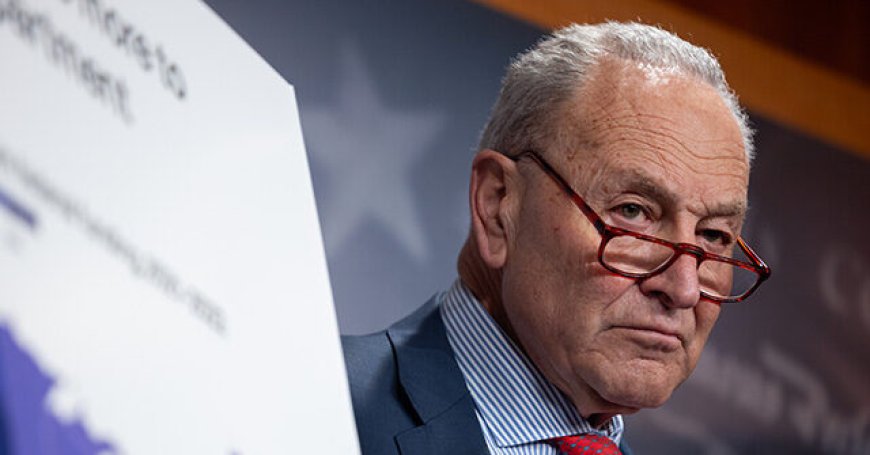 Khanna: People Don't Blame Schumer for Shutdown, They Think 'He's Too Ineffective'