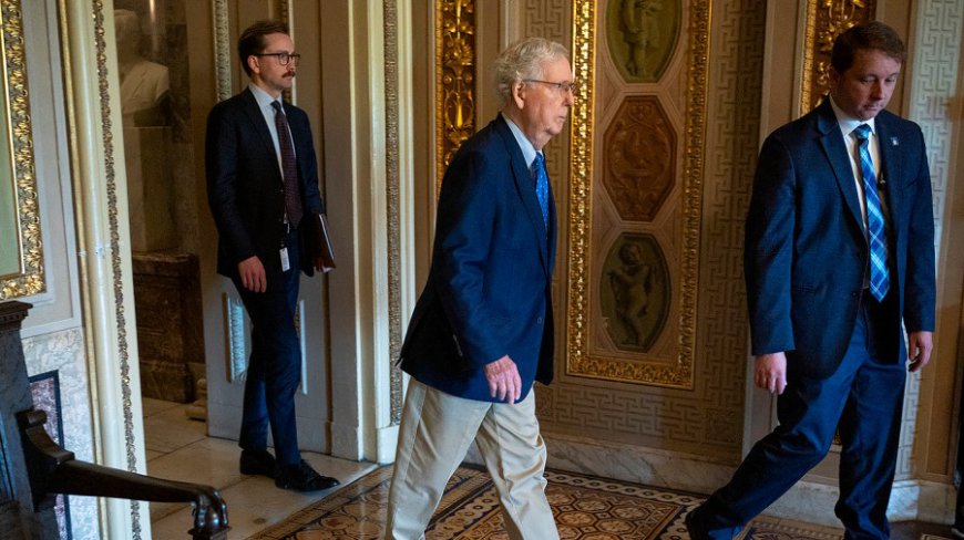 McConnell ‘fine’ after fall in front of left-wing protesters