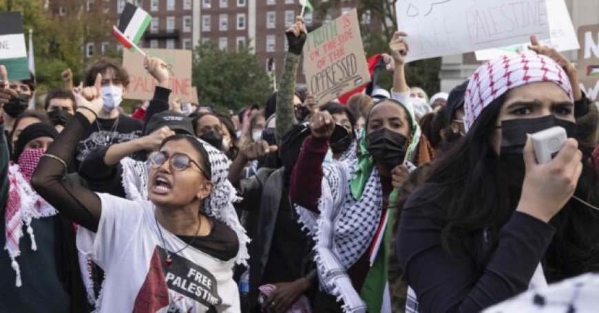 Students for Justice in Palestine Backs Gaza Executions: 'Death to Collaborators'