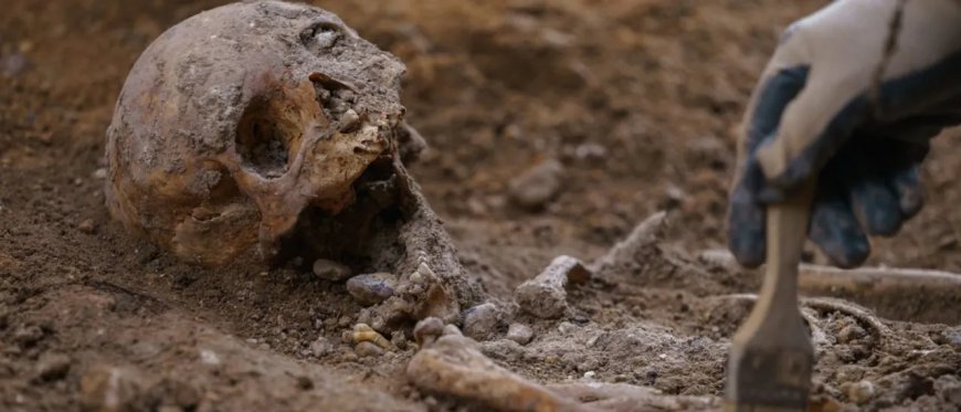 Skeletons Found In Ancient Well May Be Roman Soldiers From ‘Age Of Anarchy’