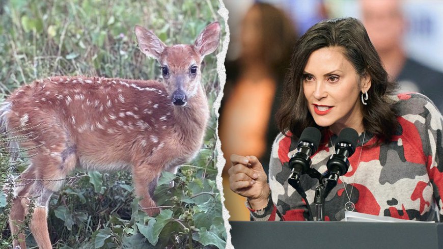 Blue state bureaucracy orders euthanasia of rescued disabled fawn, sparking bipartisan outrage