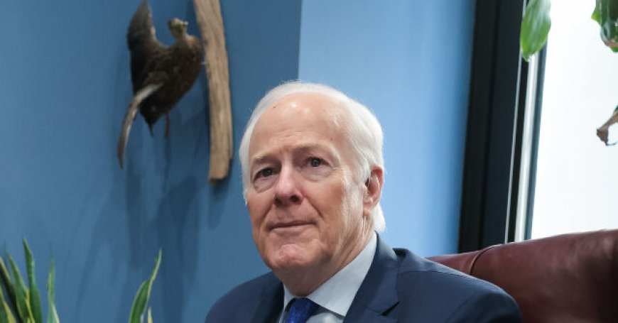 Exclusive: Texas Senate Race Heating Up as Sen. John Cornyn's Opponents Point to Amnesty