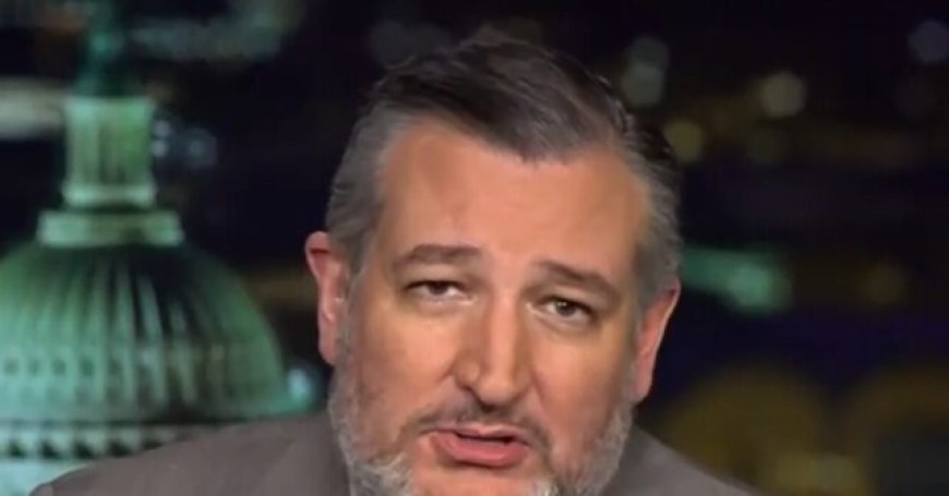 Cruz: Shutdown Driven by Democrat Desire for Free Health Care for Illegals, Schumer's 'Political Crisis'
