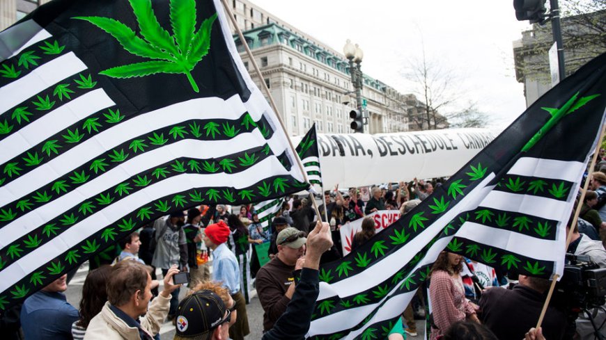 Dialing down dope: Trump White House moves toward easing restrictions on marijuana