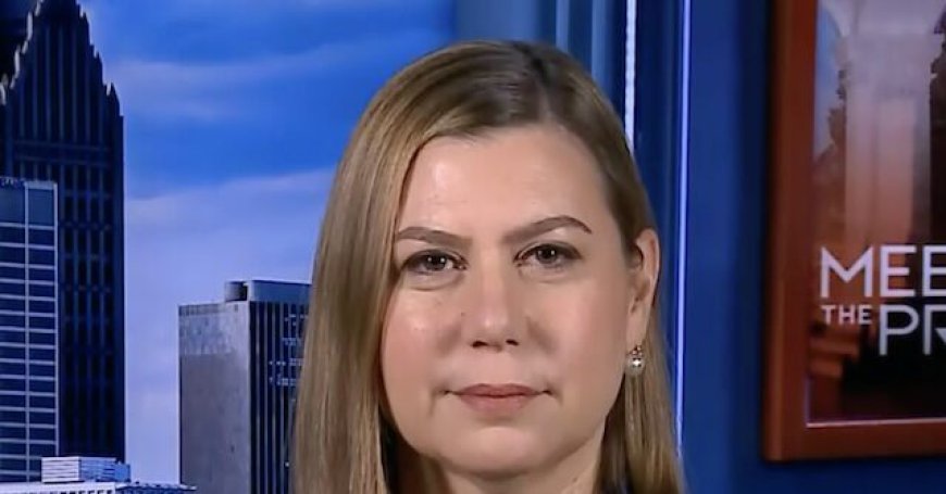 Slotkin: We Shouldn't Extend Subsidies by Year Because They'll Expire in Election Cycle