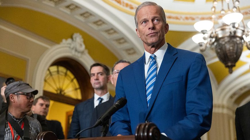 Thune slams Schumer's 'kingmaker' politics, refuses to 'kiss the ring' in shutdown talks