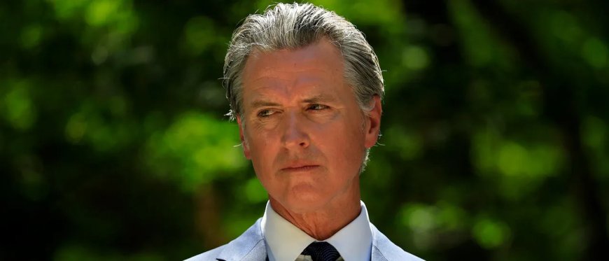 ‘Democrats Need To Stop Snipping At Each Other’: Political Operatives Annoyed Billionaire Showed Up To Party